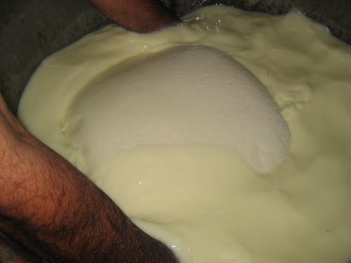 scuola di formaggio-32.JPG
